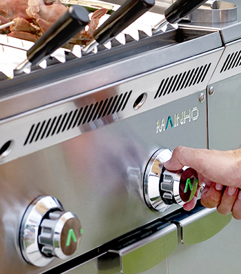 plancha professionnels